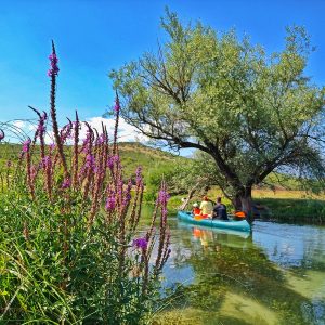 Kanu safari predstavlja inovativnu turističku atrakciju u Livnu, gdje svaka krivina rijeke donosi jedinstvenu avanturu.